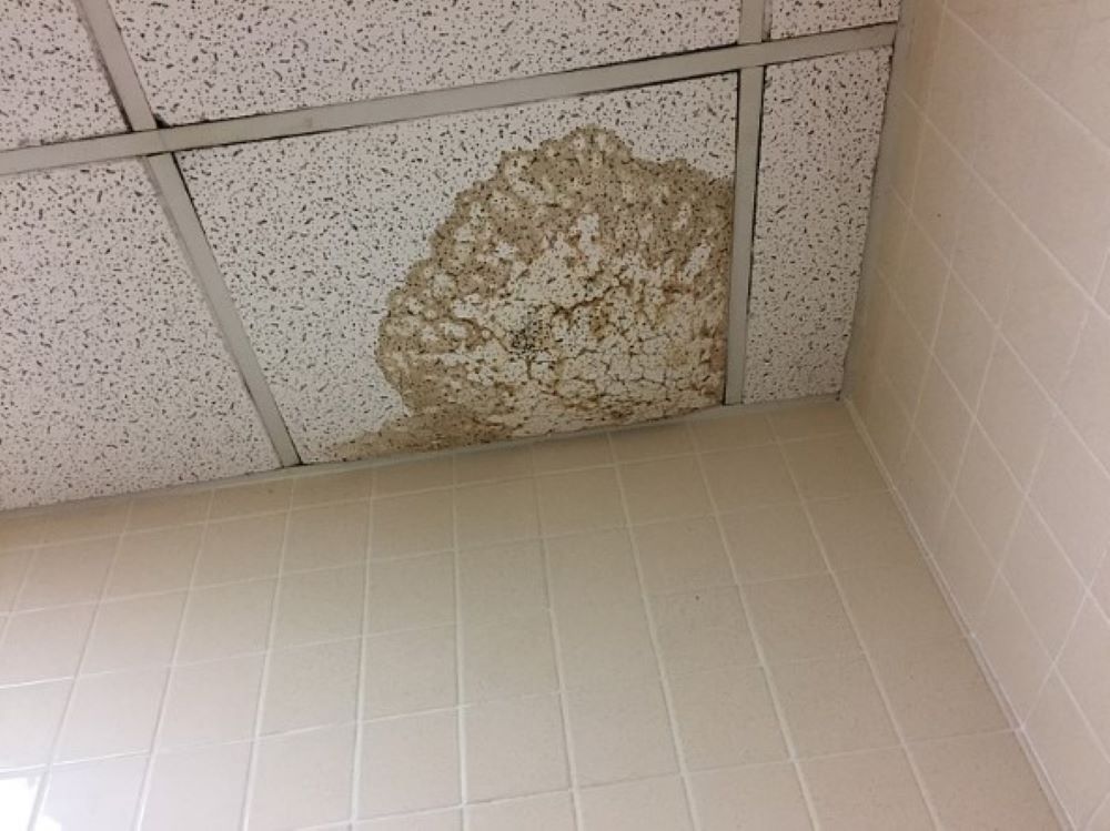Water Damage Restoration Mckinney